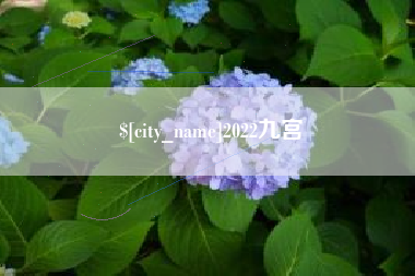 林州2022九宫
