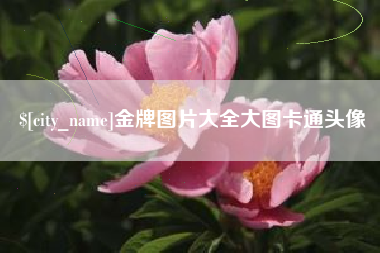 林州金牌图片大全大图卡通头像