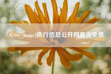 林州执行信息公开网查询免费