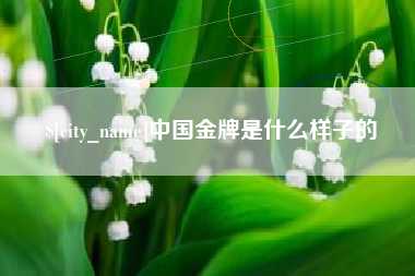 林州中国金牌是什么样子的